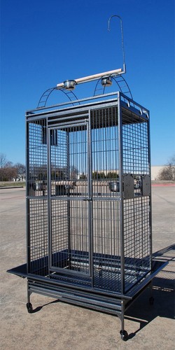 Large open play top parrot - open, play-top