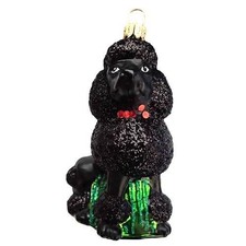 BLACK POODLE DOG EUROPEAN