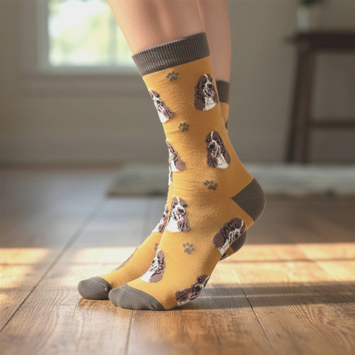 Springer spaniel socks - springer,