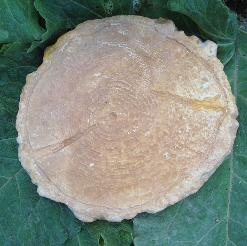 Concrete log steppingstone - concrete,