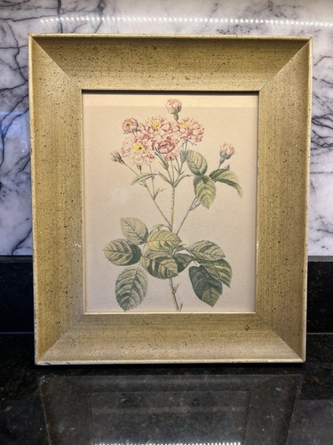 Joseph redouté framed copper - redouté,