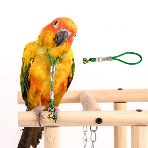 Adjustable bird harness - bird, lead