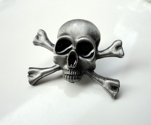 Skull bones pin - skull,