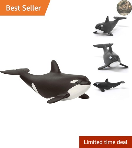 Realistic miniature baby orca - baby,