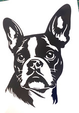 1x Boston Terrier Decal Vinyl