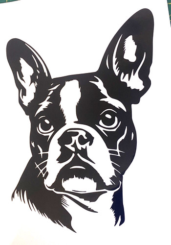Boston terrier decal - boston, vinyl
