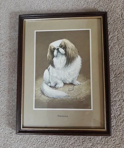 Pekinese dog print artist j - dog,