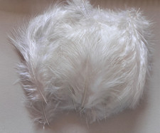 Marabou Feathers 20 Per Pack 15cm to 20cm Fly Tying Arts & Crafts Decoration