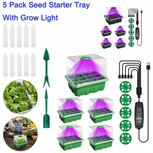 Pack seed starter - 5,