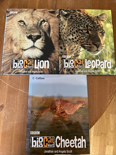 Big cat diary cheetah - big, lion