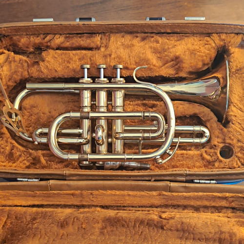 Fleur cornet lacquered - bb,