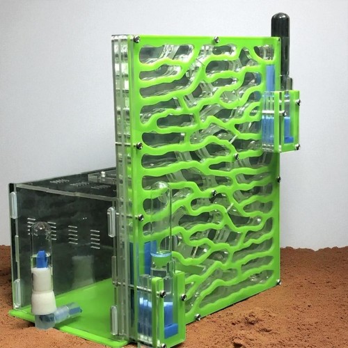 Large acrylic ant farm - ant, |