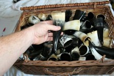 Drinking Horn 100 ml plus Real