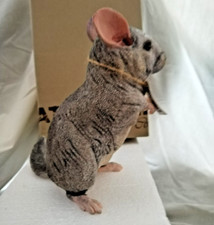 Rare Country Artists, Natural World  "CHINCHILLA" 03516 in original packaging