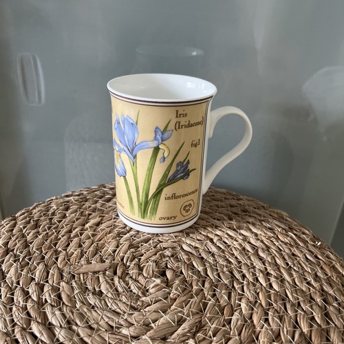 Crown trent china - china, &