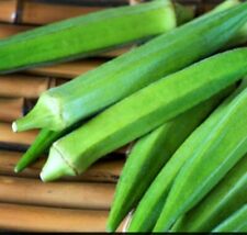 VEGETABLE - OKRA -SEEDS