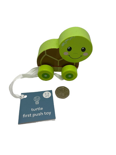 Push along turtle toddler - along,