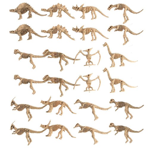 Pack dinosaur skeleton - 24,