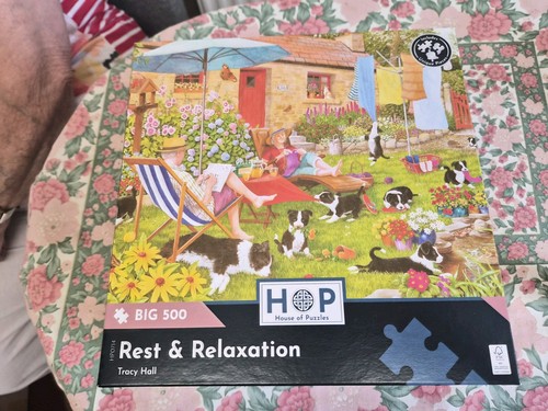 House puzzles big - house,