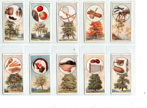 British trees their - british,
