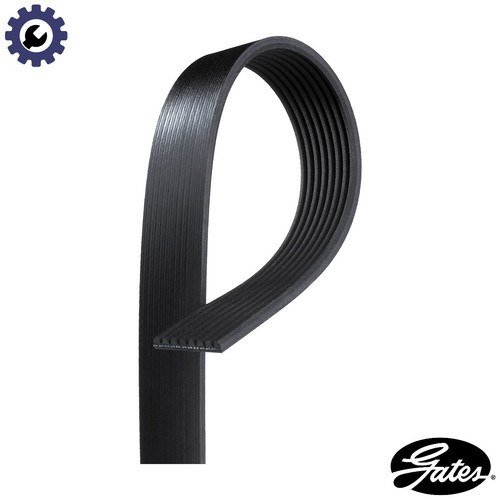 Vribbed belt 8pk1553hd - 8pk1553hd, for