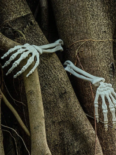 1pc skeleton hand plastic - 1pc,