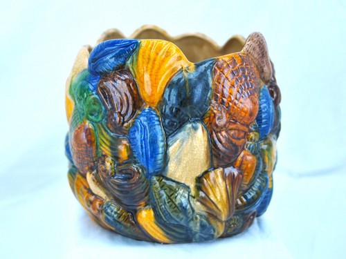 Unusual shell sea life - &,