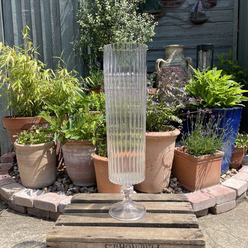 Tall glass vase - /sundae,
