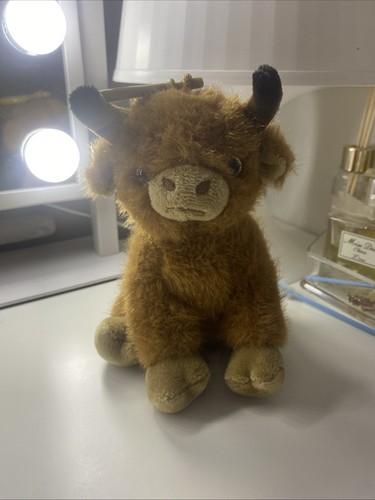 Brown fluffy cute highland - brown, cow