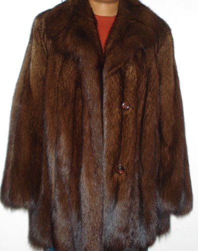Stunning sable fisher - fisher, fur