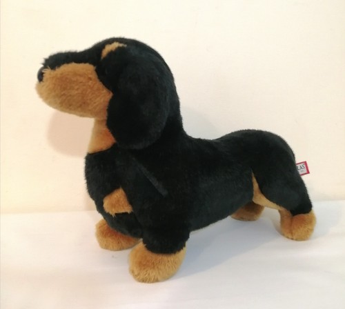 Douglas black tan dachshund - douglas,