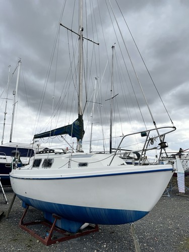 Seamaster sailing boat with - seamaster,