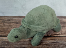 GREEN TURTLE TORTOISE 🐢