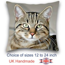 Tabby Cat Cushion Design, Cat Art Cushion, Tabby Cat Pillow