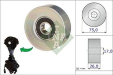 INA 532067610 V-Ribbed Belt