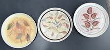 3 Vintage Denby Hand Painted Glyn Colledge plates 26cm diameter Mid 20th Century