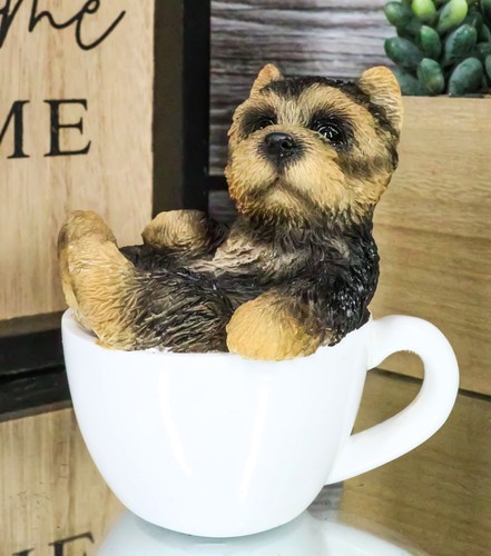 Realistic mini yorkie - realistic, teacup