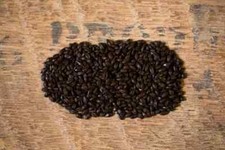 Maltmaster Crushed Roasted