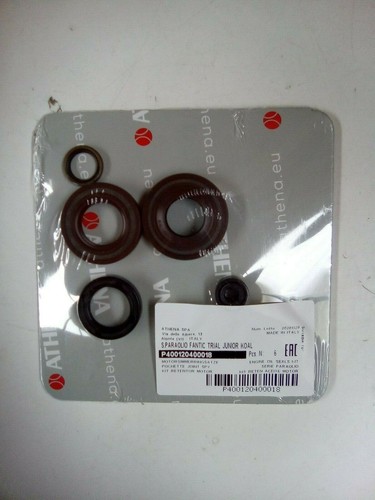 Engine fenders fantic replica - engine,