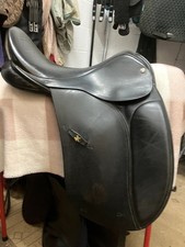 Jeffries Falcon Dressage