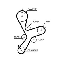 GATES 5641XS Timing Belt