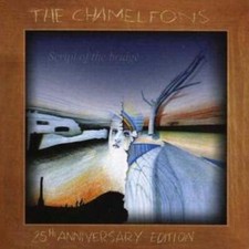 The chameleons script - :,