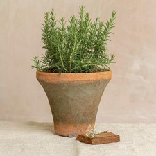 Rustic Terracotta Pot x1