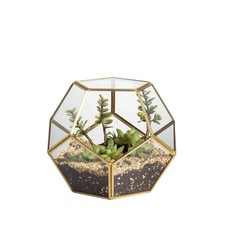 Geometric glass terrarium for - geometric,