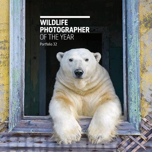 Wildlife photographer the - of,