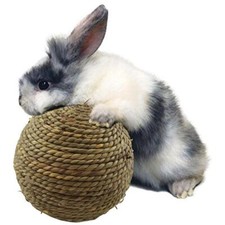 Pet Chew Toy Natural Grass