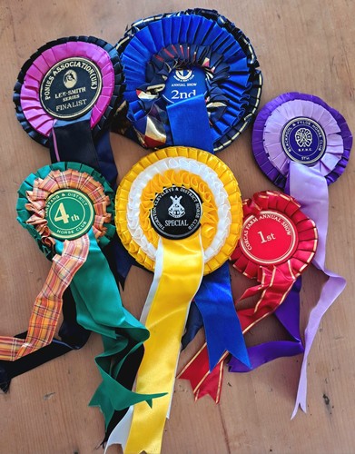 Vintage horse riding trophies - riding,