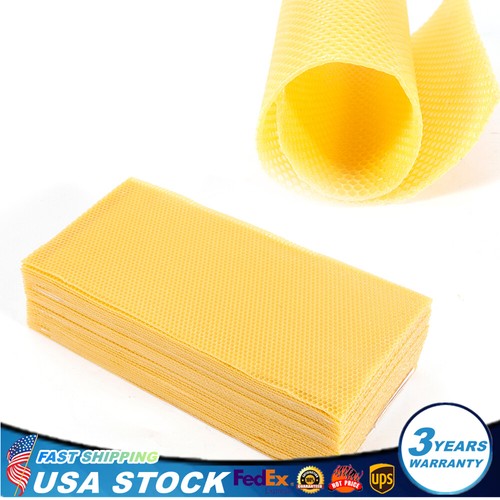 30x bee hive foundation - hive,
