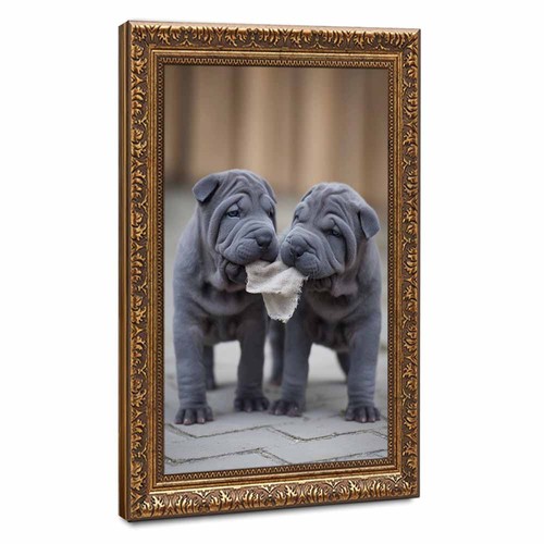 Cute shar pei puppies - pei, framed