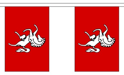 Kent metre bunting flags - metre,